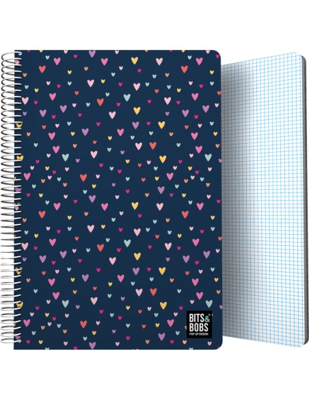 CUADERNO PP Fº 80H 90G C4MM BampB HEARTS 294x21x16cm